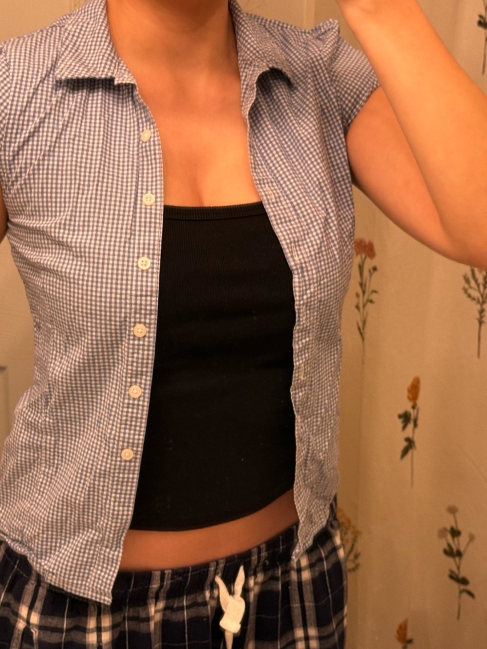 Brandy Melville Rue Blue Gingham Button Up Top